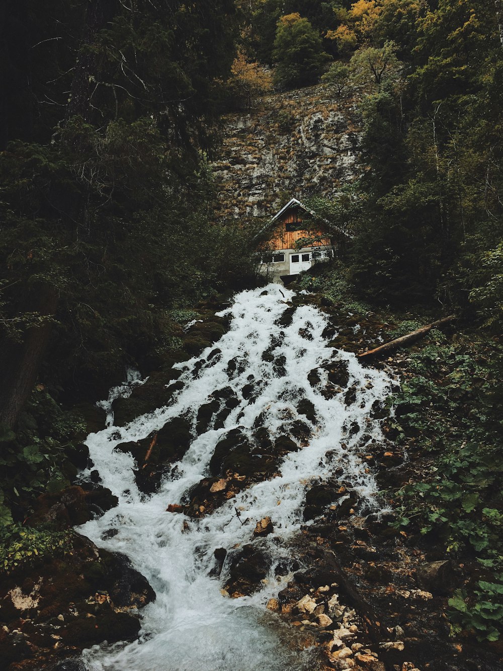 house on top of river during daytime