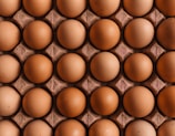 egg -topic-Carbs Protein Fat Ratio for Muscle Gain