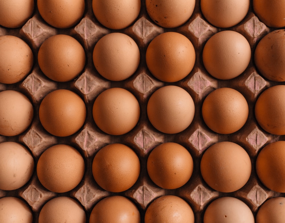 Lotto di uova autoctone
