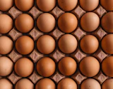 Brown eggs arranged in a tray
