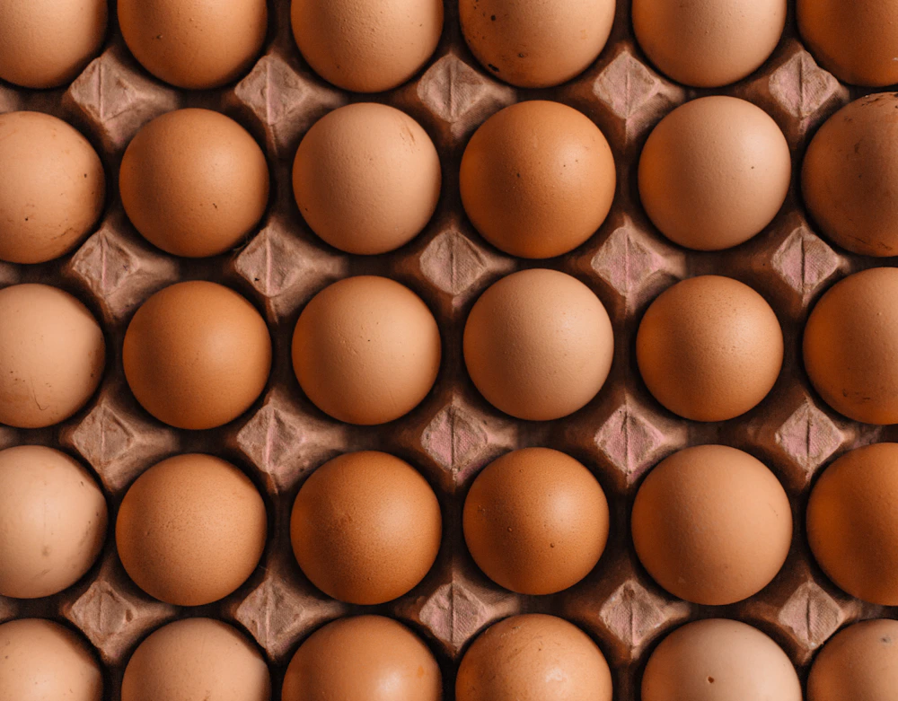 Fresh eggs prepared for wholesale food distribution