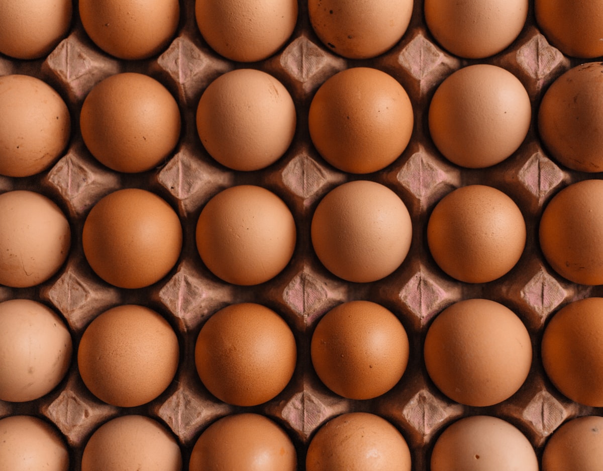 Eggs - a Staple on a Low-Carb Diet