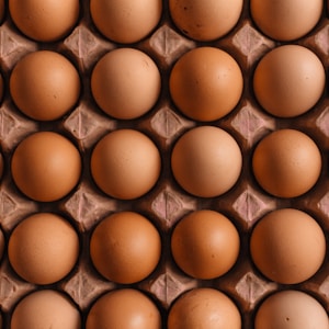 native egg lot