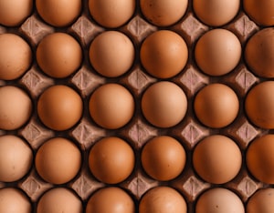 First Price Egg 18pk