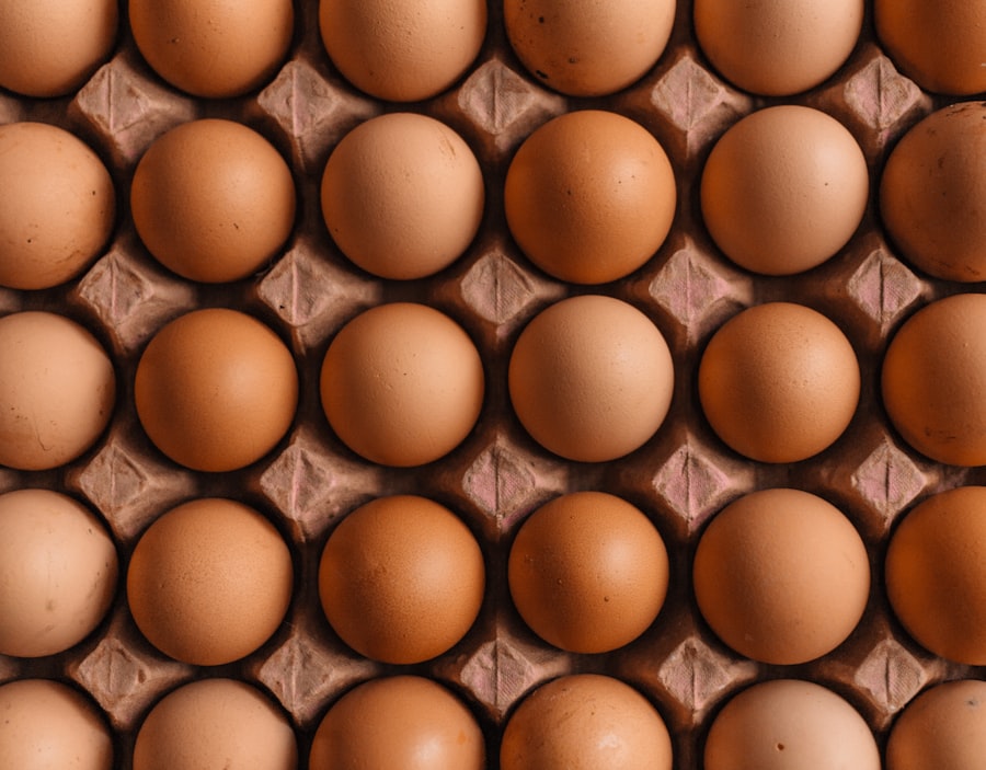 Layer Brown Egg farming