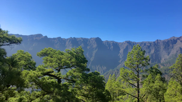Scenic view of a mountain resort hotel surrounded by lush pine trees and clear blue skies.
