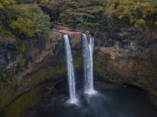 waterfalls surrounded by trees in Wailua River State Park United States
