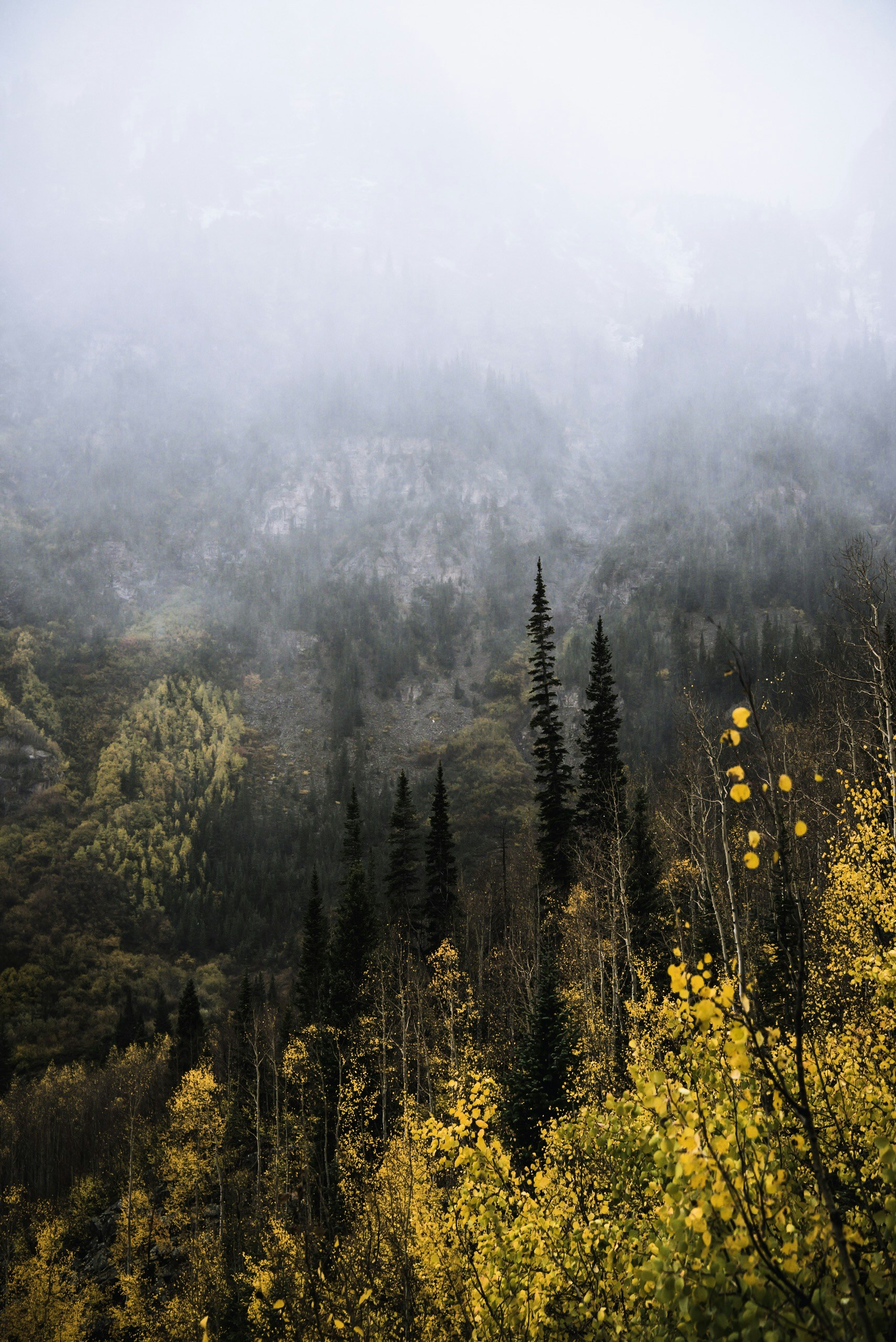 Photo by lukedahlgren