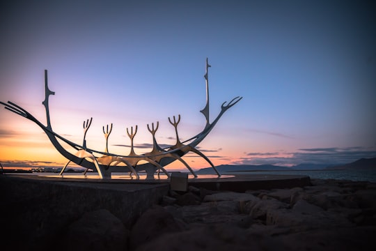brown wooden decor on gray rock formation in Sun Voyager Iceland