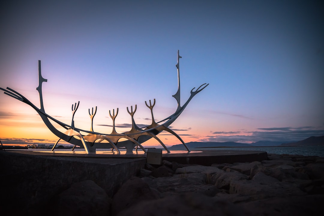 Wildlife photo spot Reykjavík Borgarfjarðarbraut