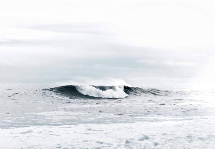 A perfect curl breaks away from the vast, calm ocean.