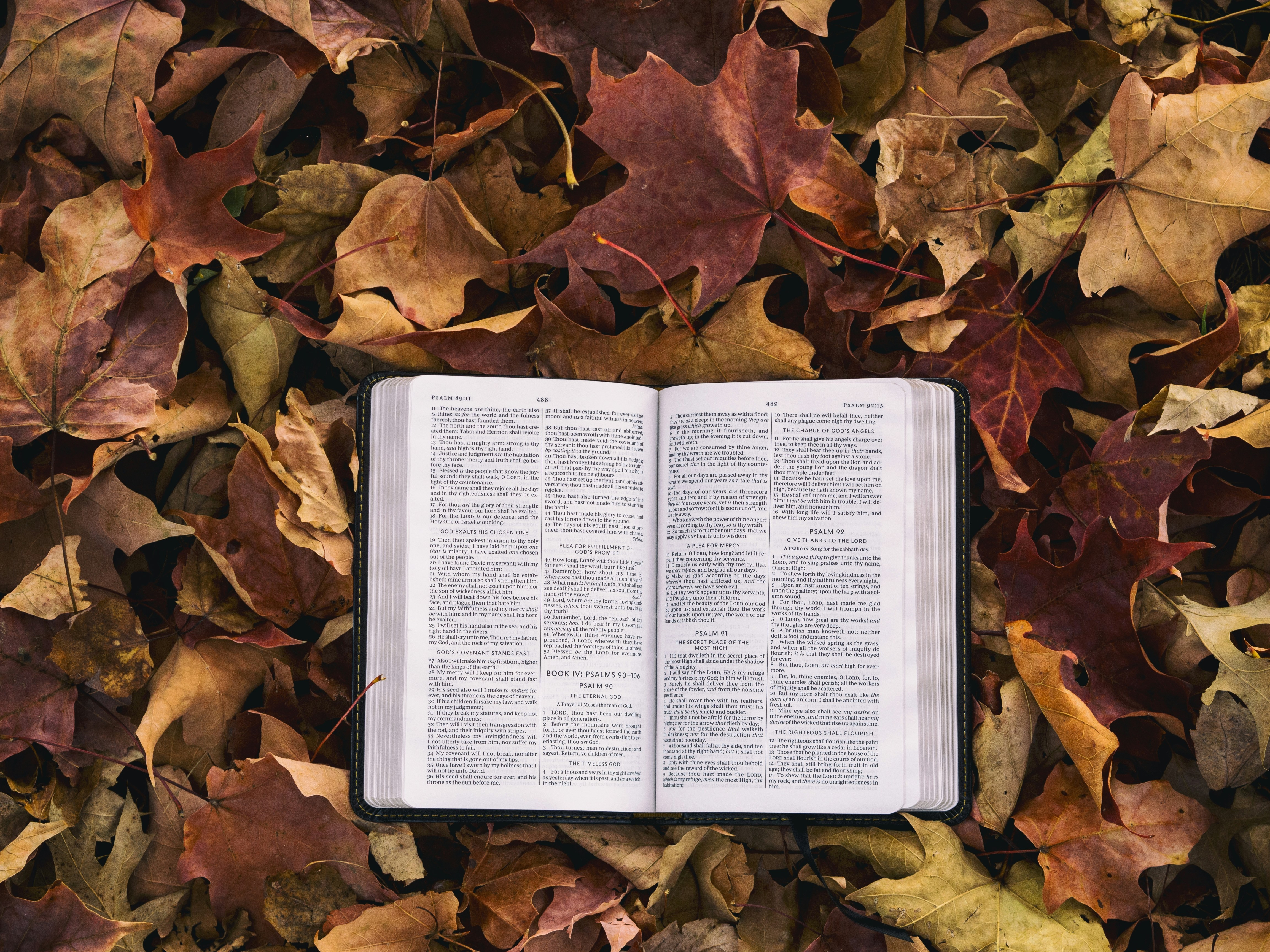 Gizmos Daily Bible Byte