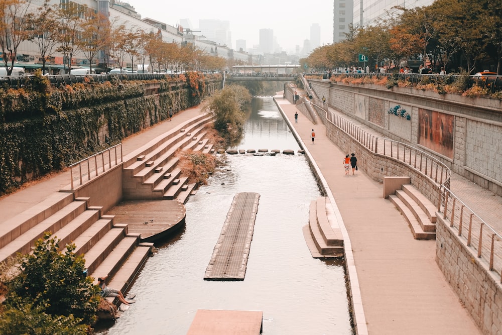 木の近くの水域