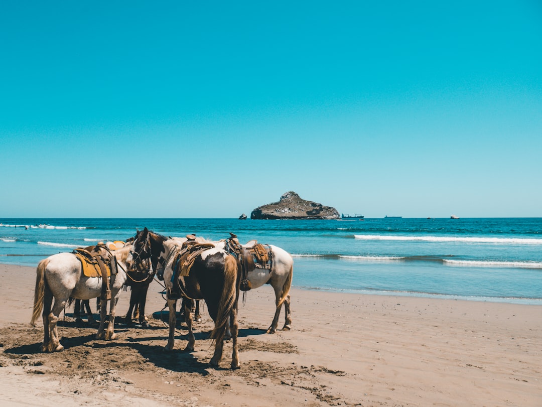 Mexico Rising: Exploring the Resilient Beauty of Mexico's Coastal C… — Mexico Rising