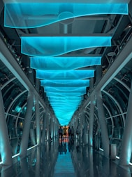 people in middle of hallway