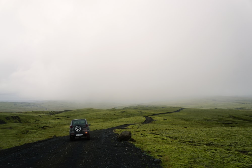 black vehicle passing on concrete road between green plants during daytime