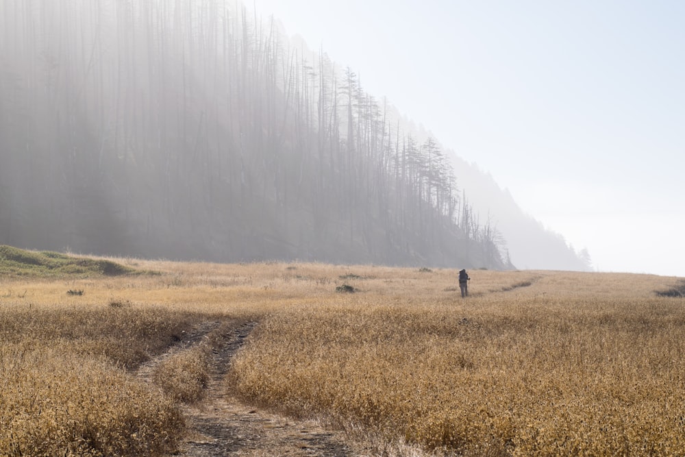 man standing on brown grass field in front of forest