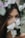 woman's face photography