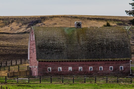 red and black farm barn in Moscow United States