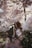 woman near cherry blossom tree