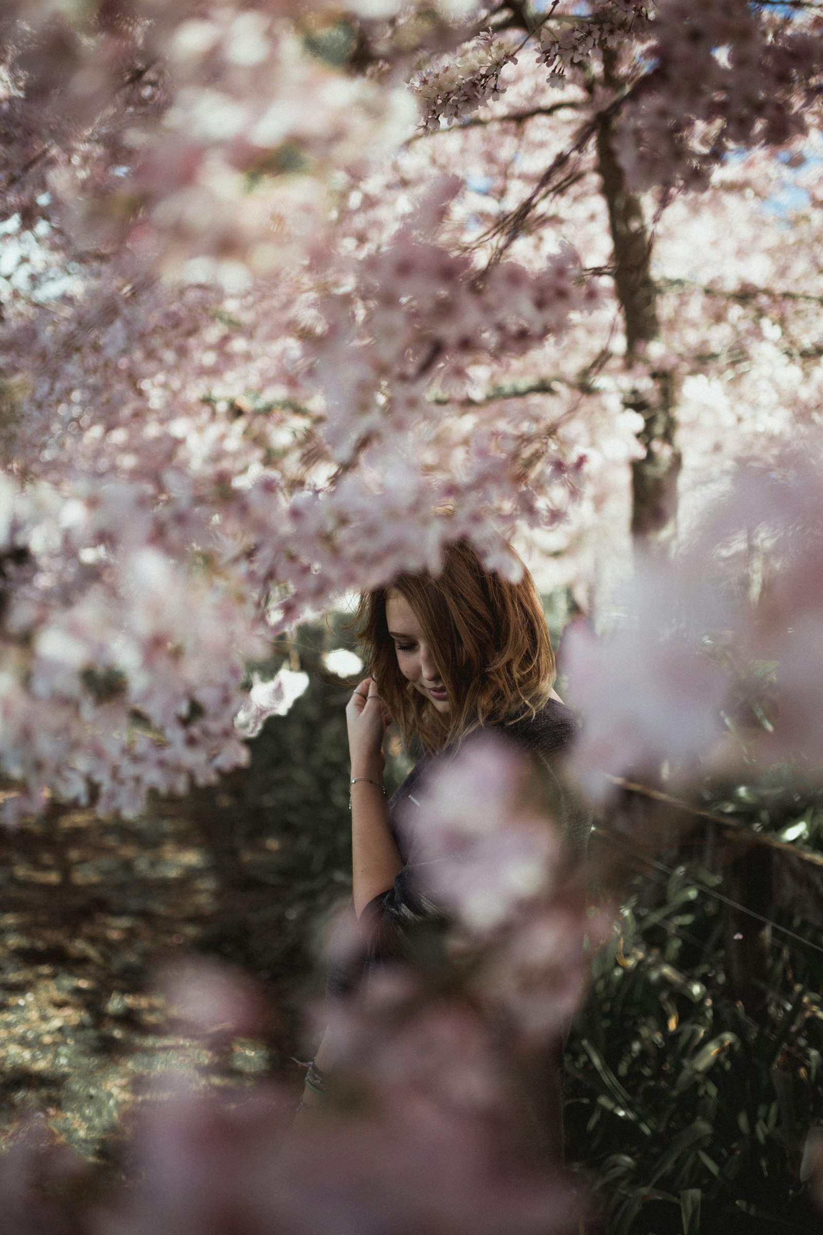Sigma 35mm F1.4 DG HSM Art sample photo. Woman near cherry blossom photography
