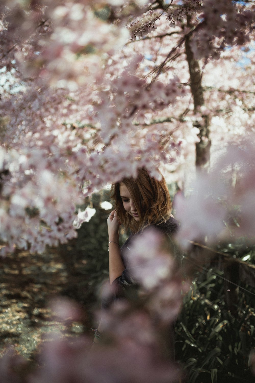 donna vicino all'albero del fiore di ciliegio