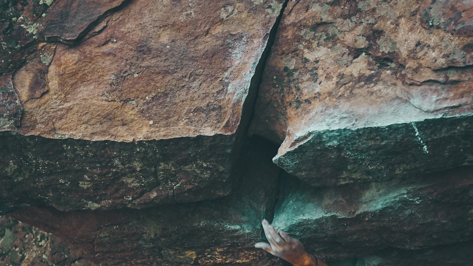 Movement Climbing, Yoga, and Fitness Officially Opens in Centennial, CO: Membership Deals, Free Climbing, and More!