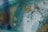 A textured wall surface with peeling paint, displaying an array of colors including shades of blue and turquoise with exposed patches of brown and beige. The pattern created by the cracks and peels gives an abstract, rustic appearance.