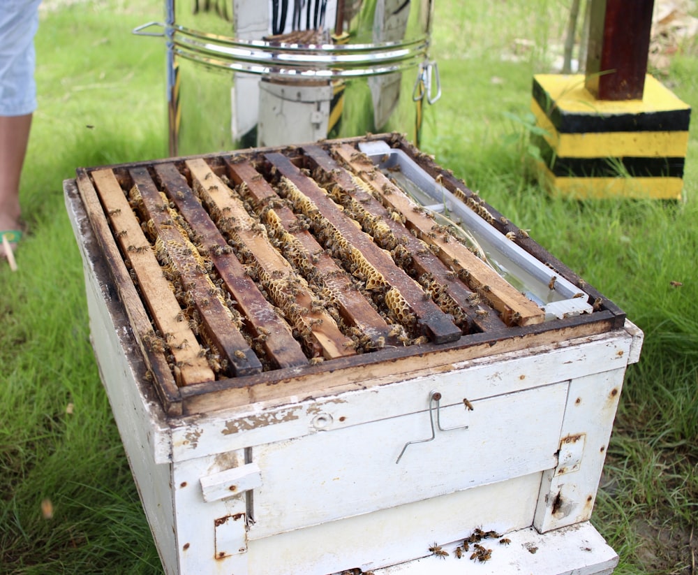 brown bee hive