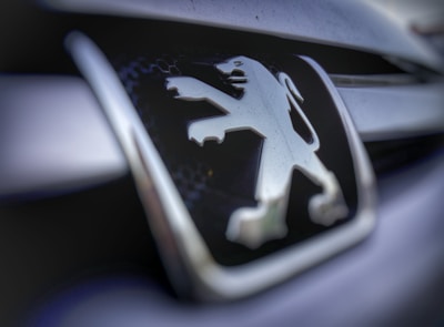 A close-up of a premium embroidered lion and sun emblem on a stylish jacket.