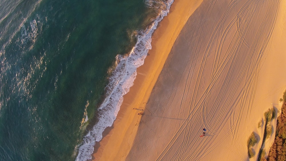 selective focus of body of water