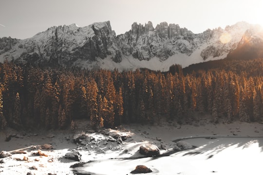 green leaf trees near snow covered mountains at daytime in Karersee Italy