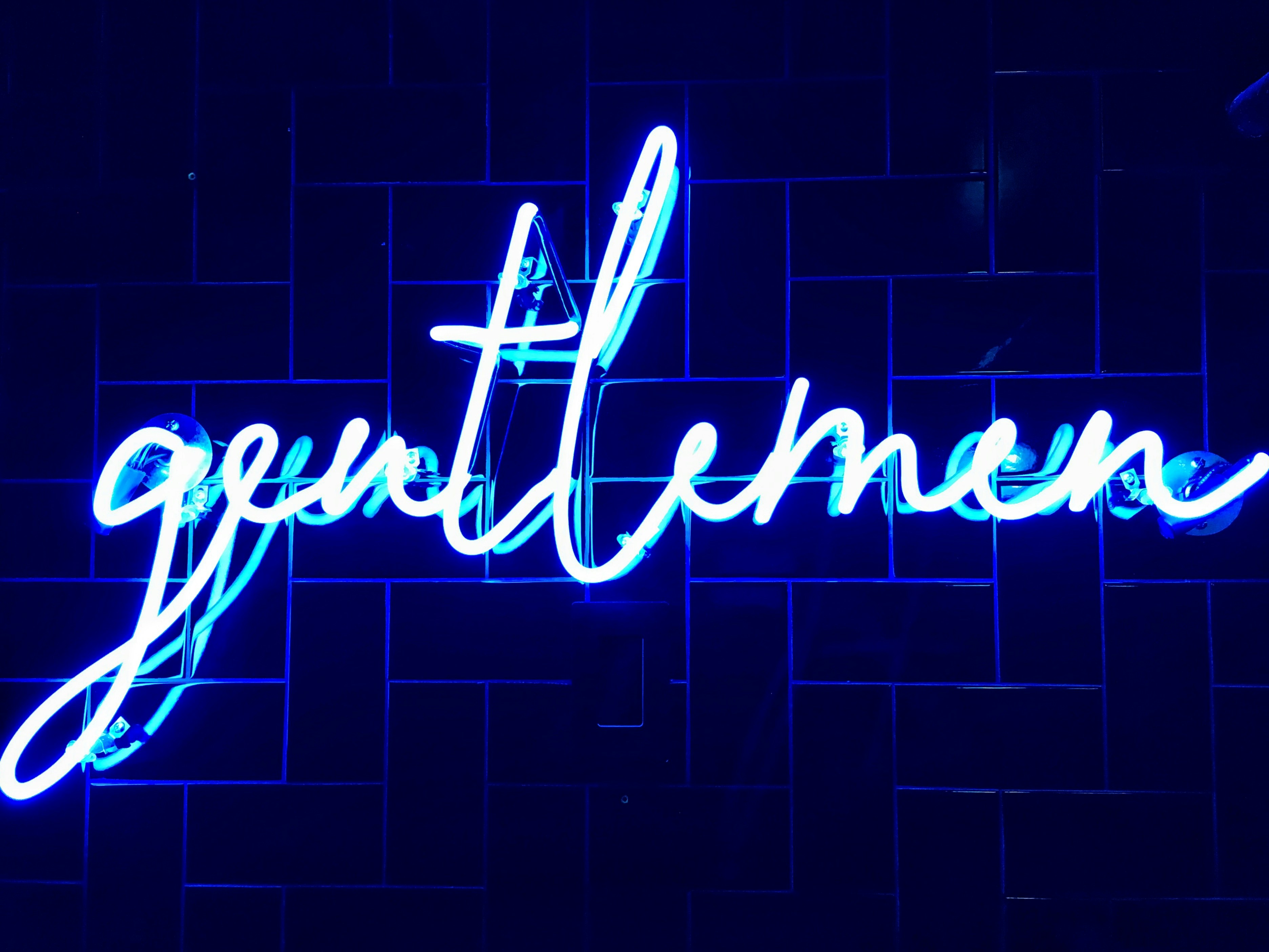 探索单本小说网站，阅读新天地，品味文字之美