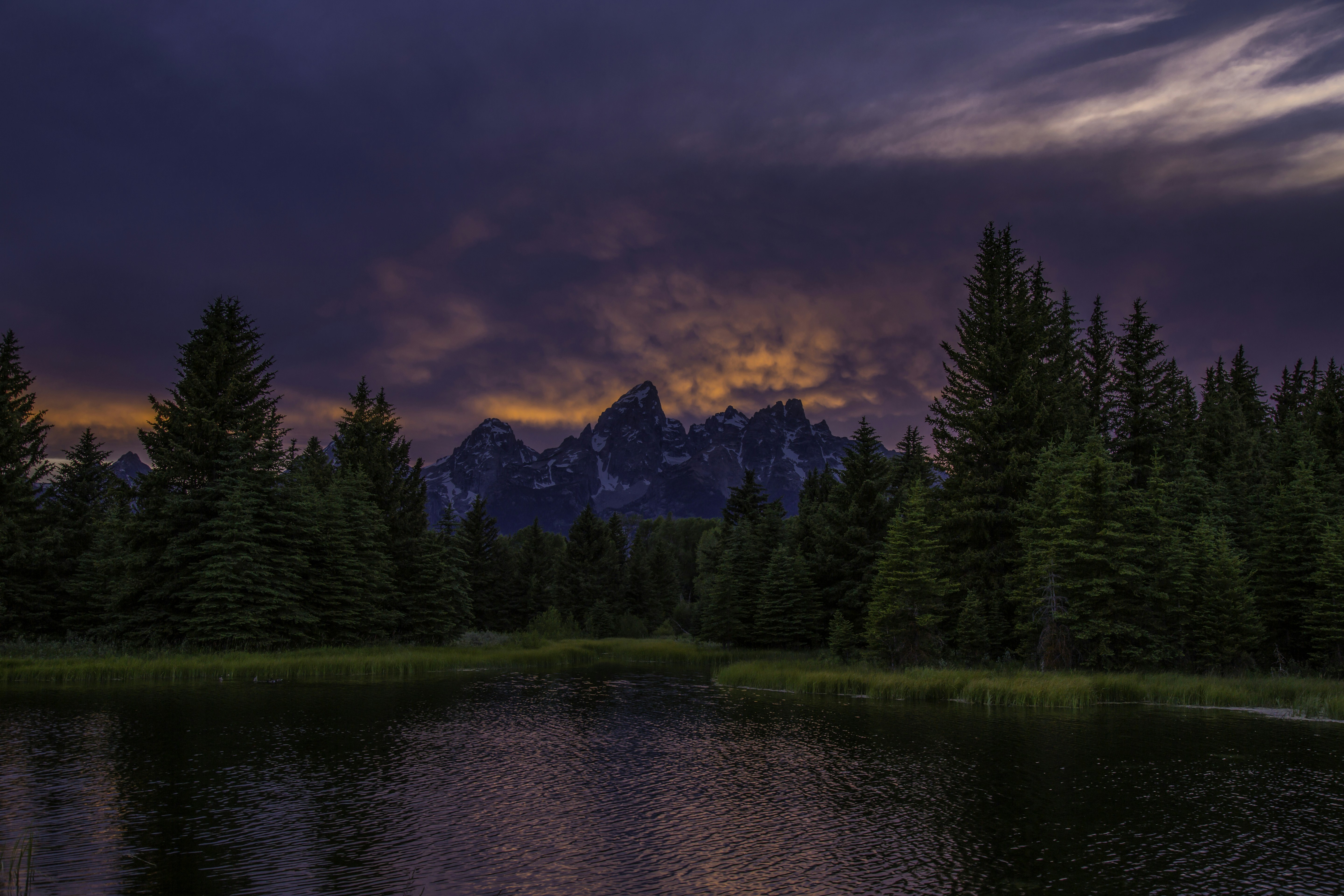 trees near body of water under cloudy sky