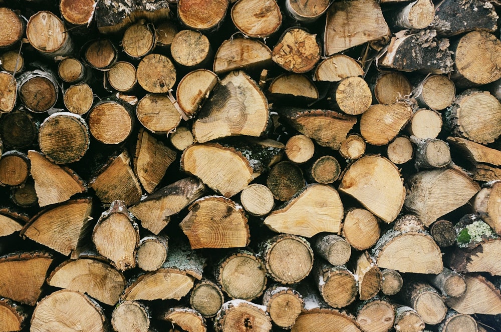Fotografia a fuoco selettiva di tronchi di legno