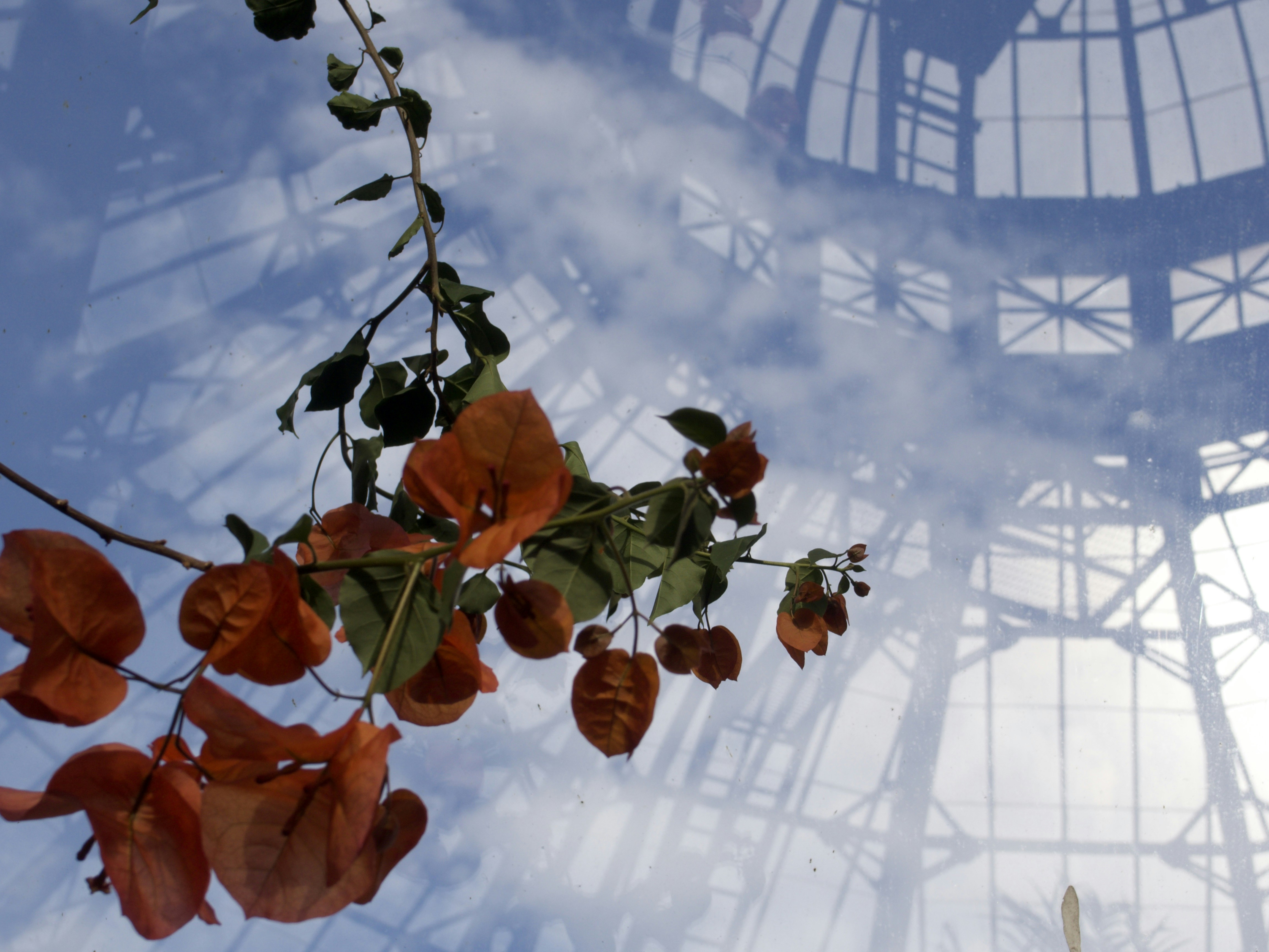 Free Allan Gardens Wellness Centre Image On Unsplash