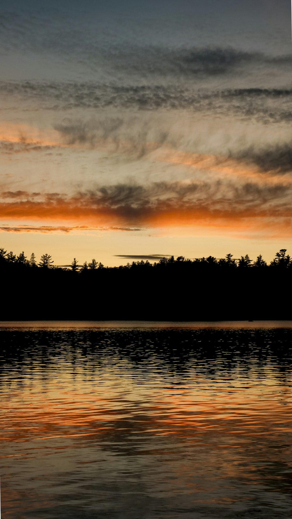 夜明けの木々と湖のシルエット写真