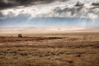car on brown field under white clouds and blue sky