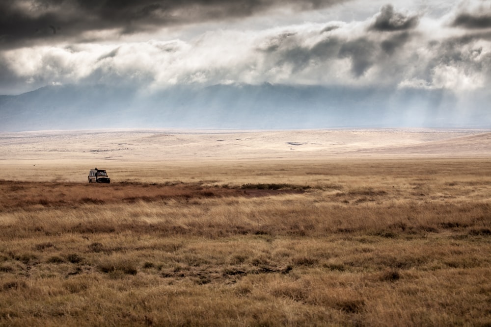 白い雲と青い空の下の茶色の野原を走る車