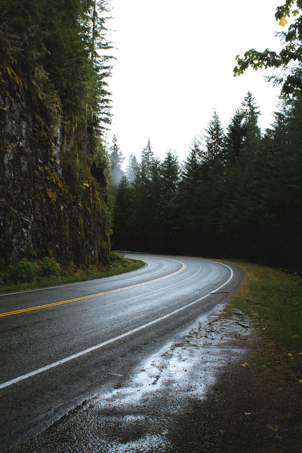 curved asphalt road between rock wall and trees