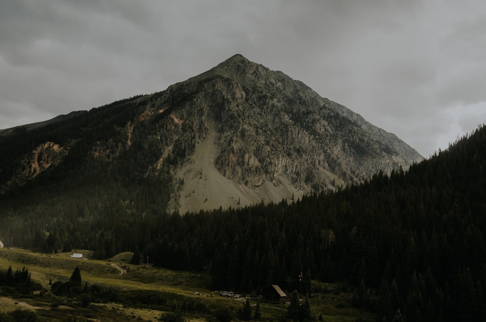 Montagne verte et forêt pendant la journée