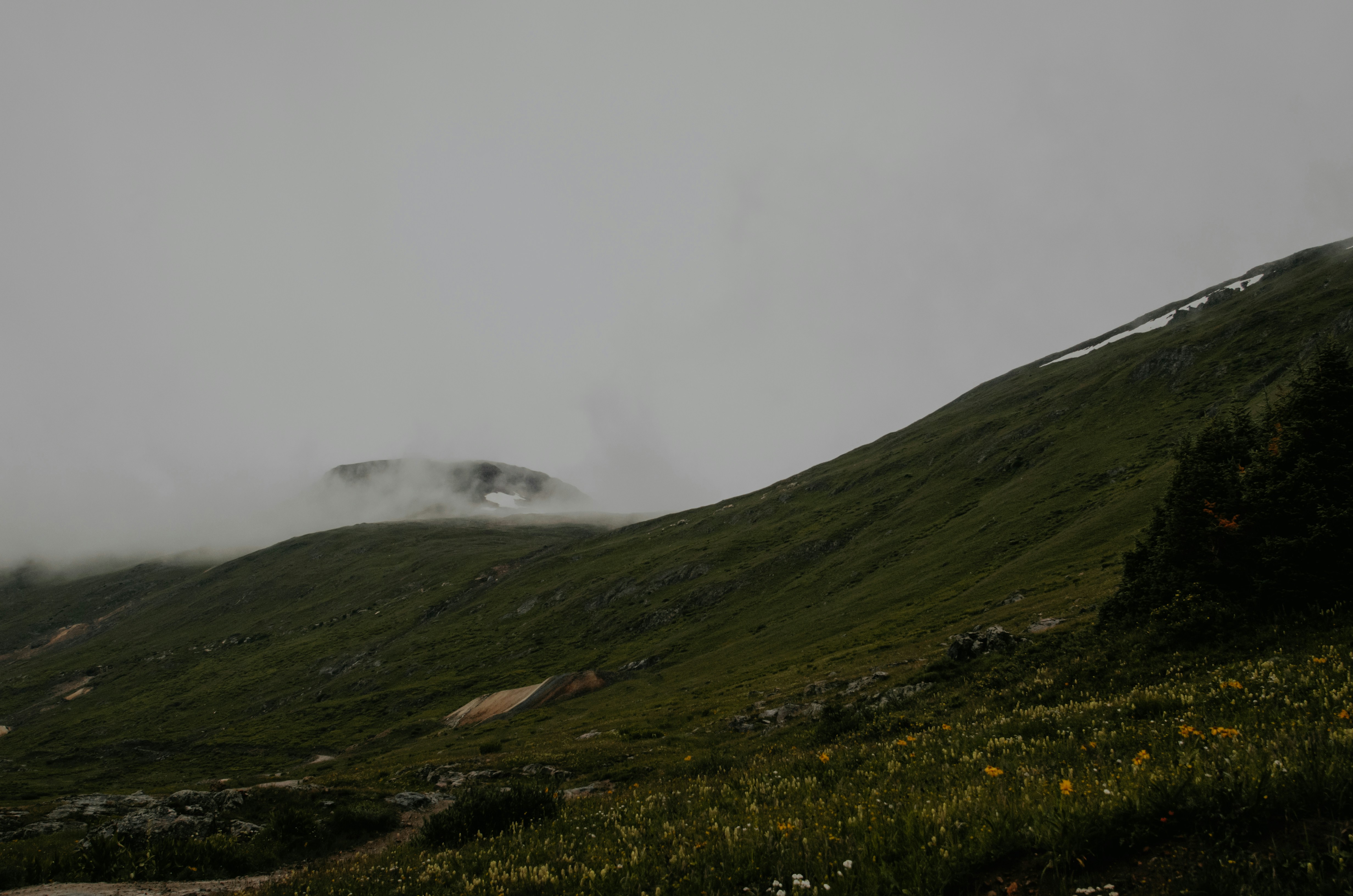 Photo by morganrovang