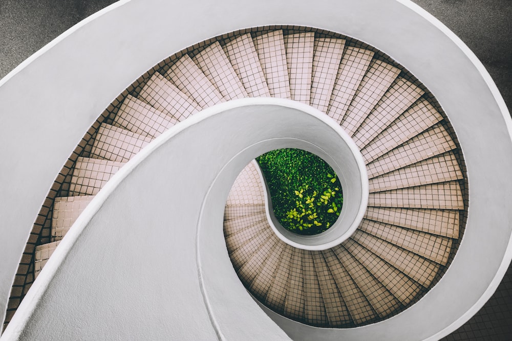 white and brown concrete spiral stairs