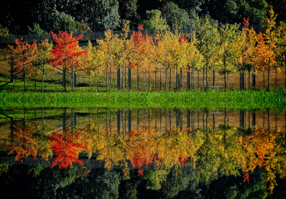 green and red trees painting