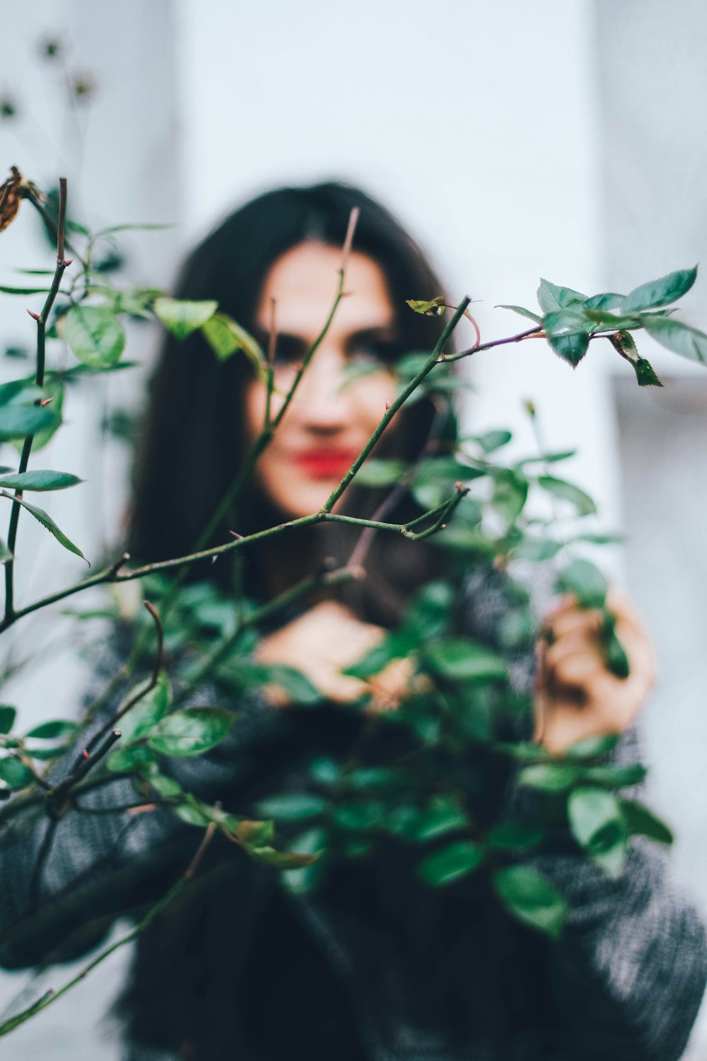 pianta a foglia verde vicino alla donna