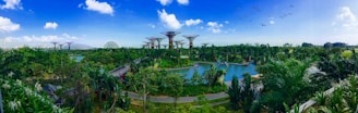 Lush greenery and futuristic Supertrees at Gardens by the Bay under a bright blue sky.