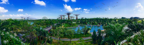 Lush greenery and futuristic Supertrees at Gardens by the Bay under a clear blue sky.