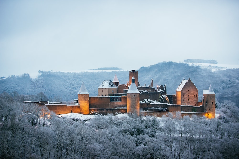 Foto der grauen Betonburg, umgeben von Bäumen