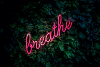 pink breathe neon sign