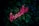 pink breathe neon sign